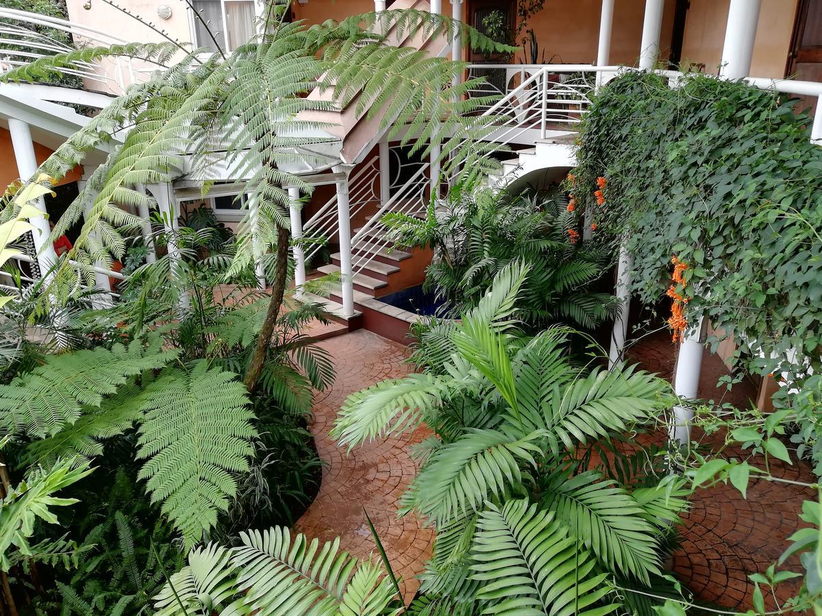 Hotel Ciudad Vieja Guatemala City Luaran gambar