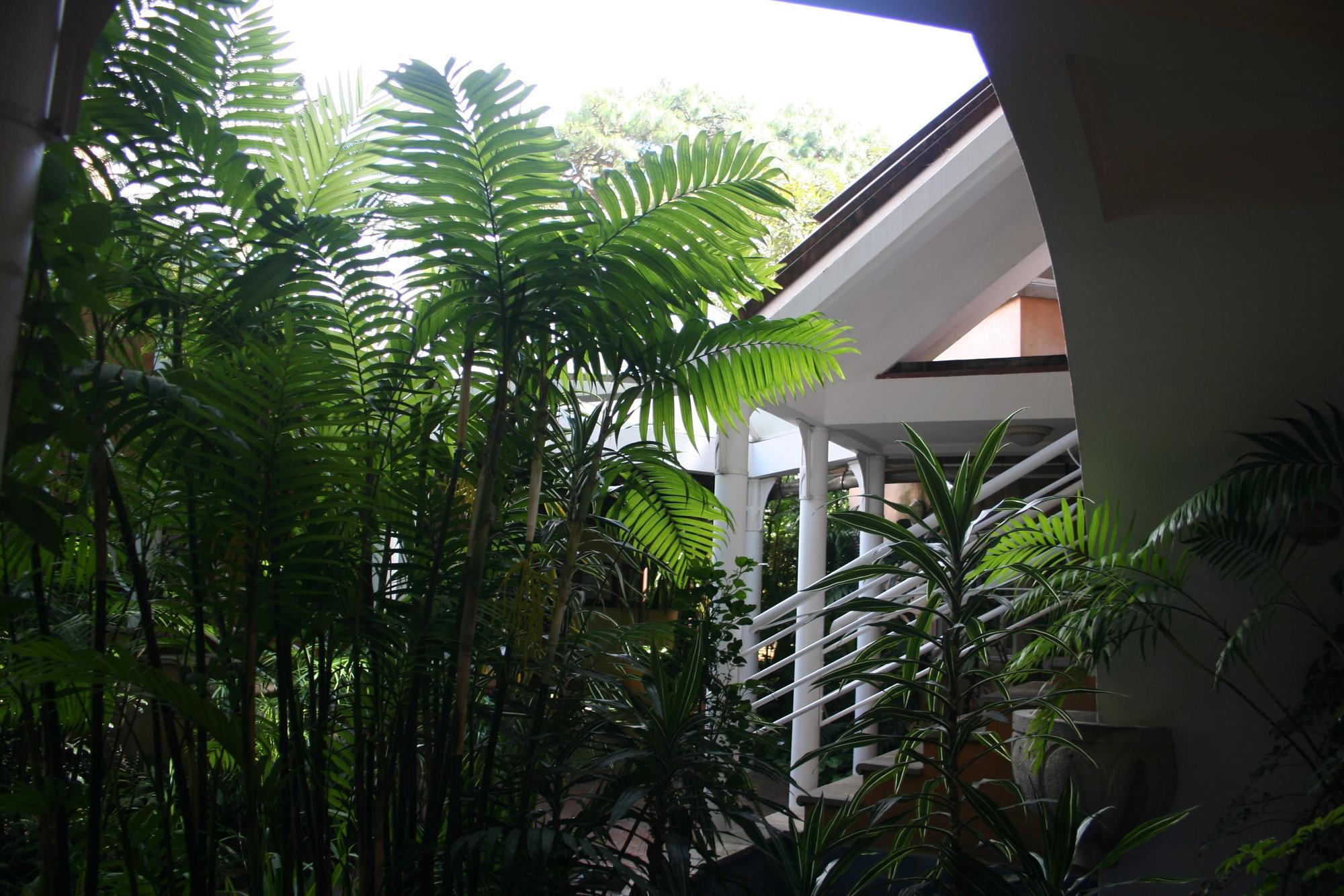 Hotel Ciudad Vieja Guatemala City Luaran gambar
